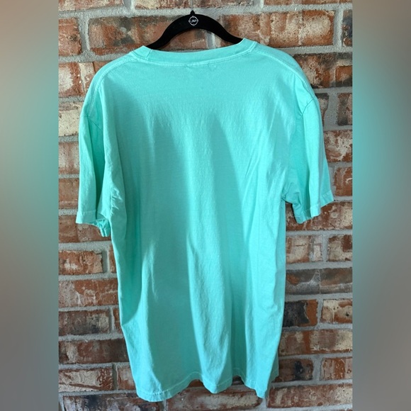 Comfort Colors Mint Tee with Blue Bow and cherry Checkered Design - Picture 2 of 6